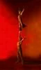 Adagio Acrobats